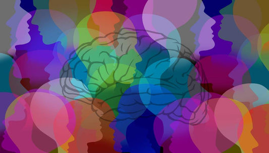 Social Intelligence